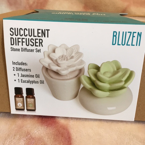 zz plant delivery ZZ Plant | Zamioculcas Zamiifolia | Care Guide and Pro Tips - Delivery from  Toronto across Canada